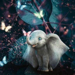 Meet your Posher, Joyce